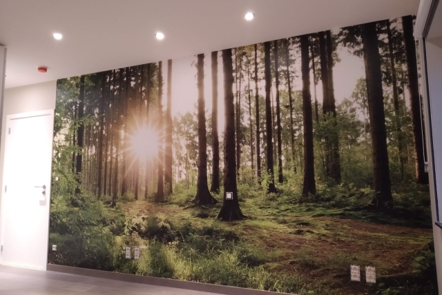 Fotobehang slaapkamer